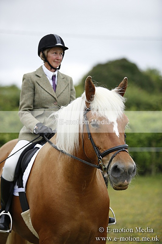 BVR160717-308 - Ring 1 BVRC Show 16/07/17