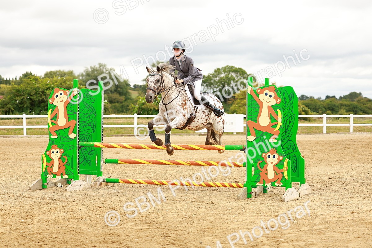 SBM_001755 - Class 9 - Senior British Novice - 90cm