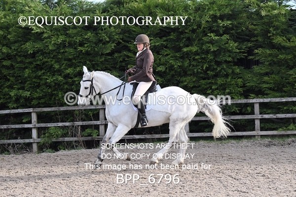 BPP_6796 - RING 1  (RIDDEN HORSES / IN HAND / VETERAN ETC)