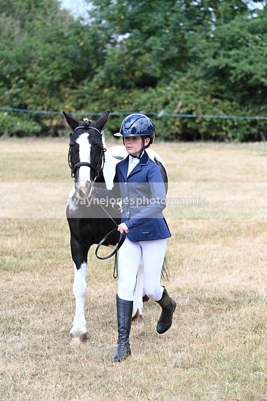 WJ7_1686 - Class 4 Prettiest Mare up to 14.2hh in hand