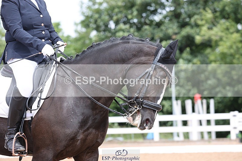 250620-121351-00855 - BD Cls 15 - Freestyle Adv Medium