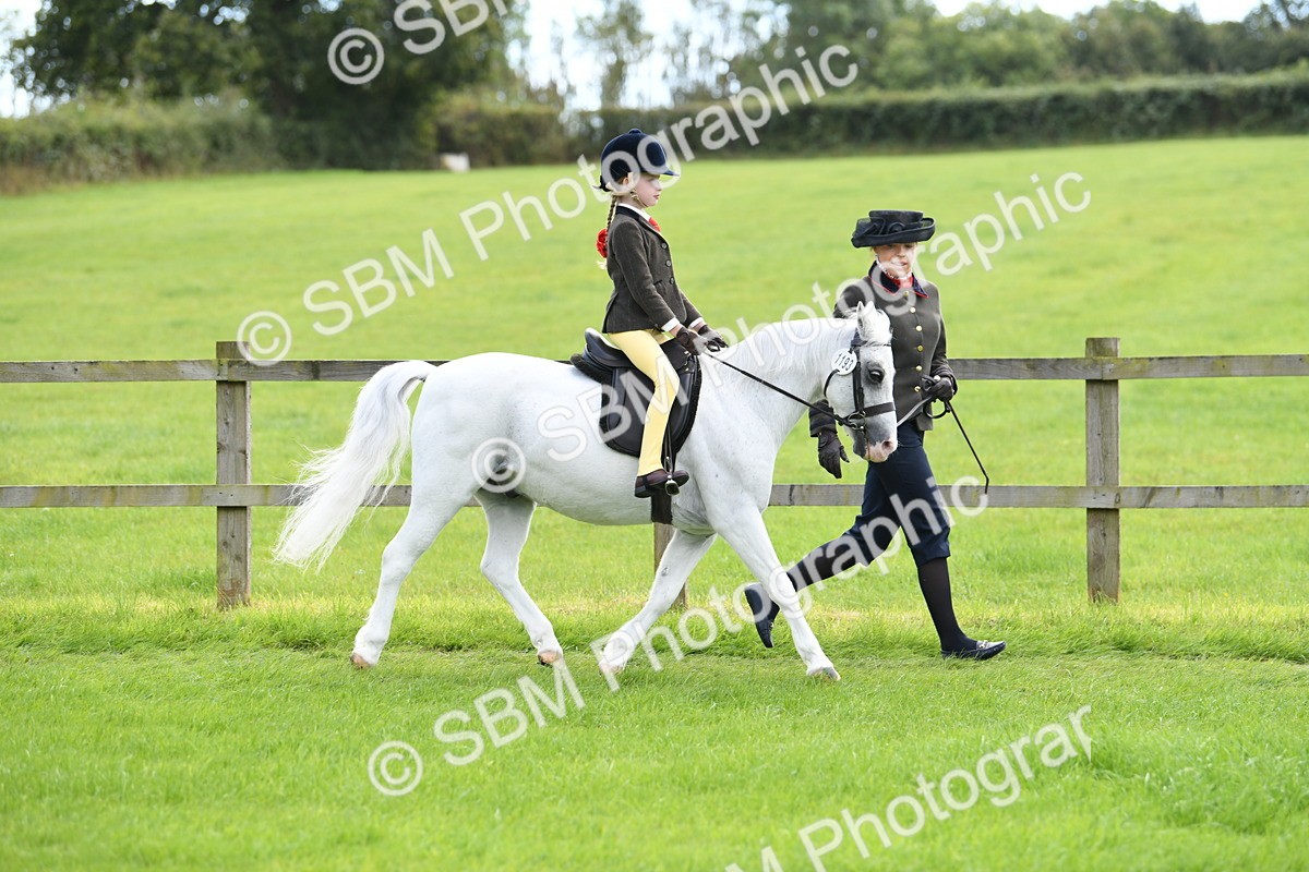 SBM_42445 - S20 - Lead Rein Mountain & Moorland Pony