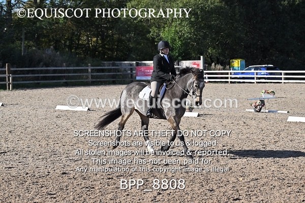 BPP_8808 - LONG ARENA