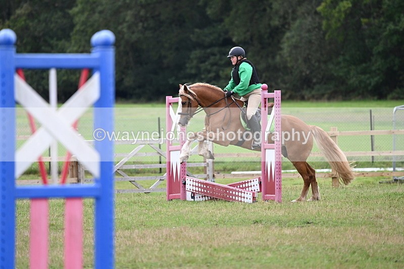 WJ6_0510 - 40cm Time 10:29 to 10:52