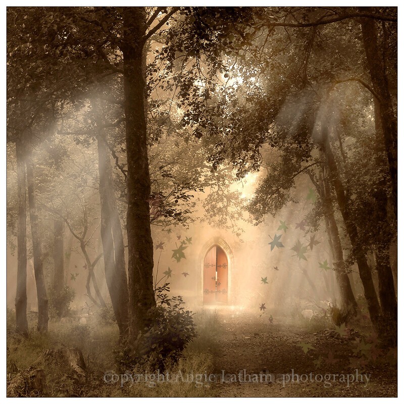 Mystic Wood - Square Magic & Mystery Prints