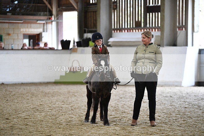 WJ5_6631 - Class 10 Childs Pony