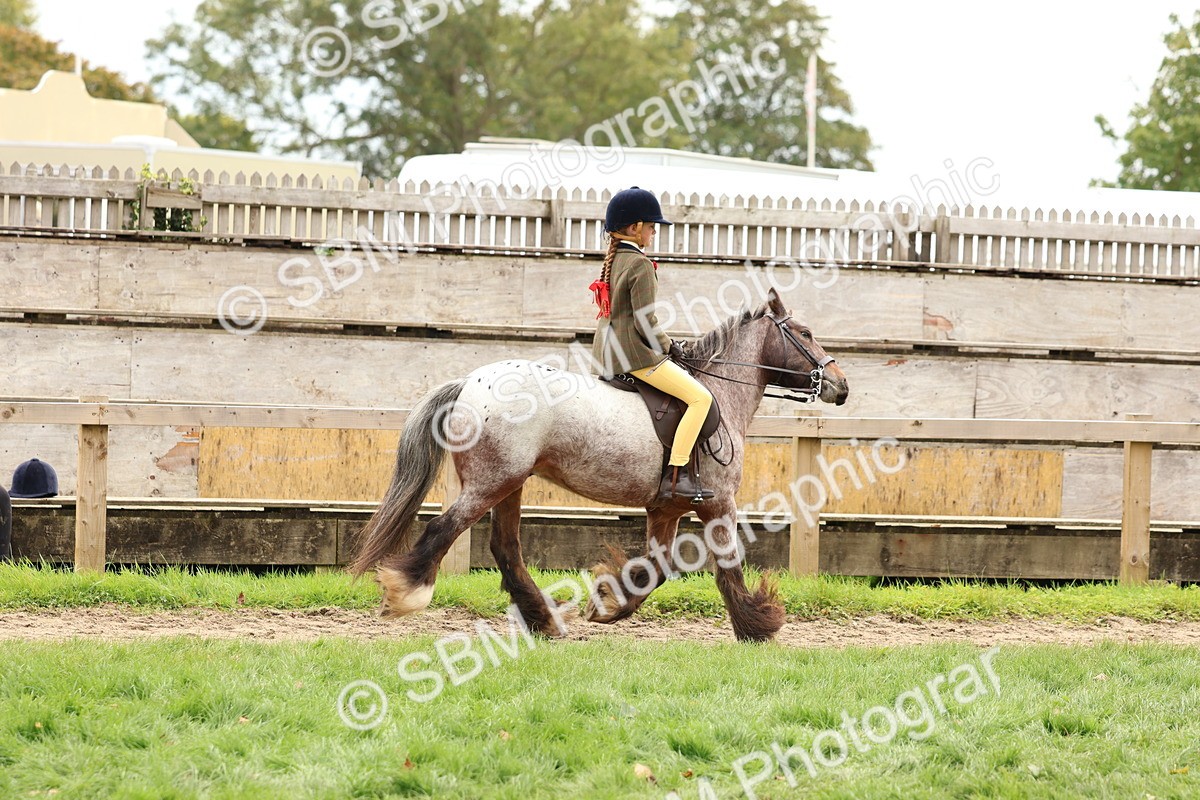 SBM_64423 - S58 - Coloured Pony Ridden