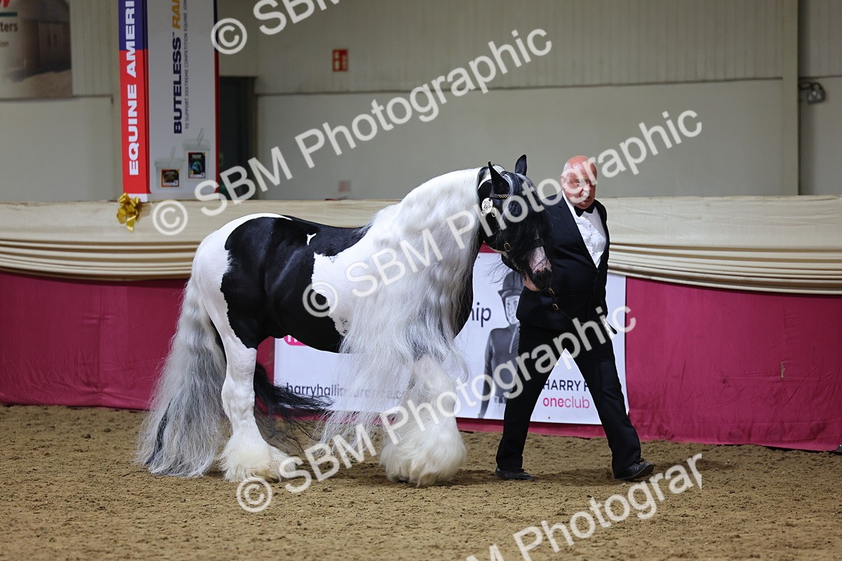 SBM_18641 - Class C Best Turned Out Champ