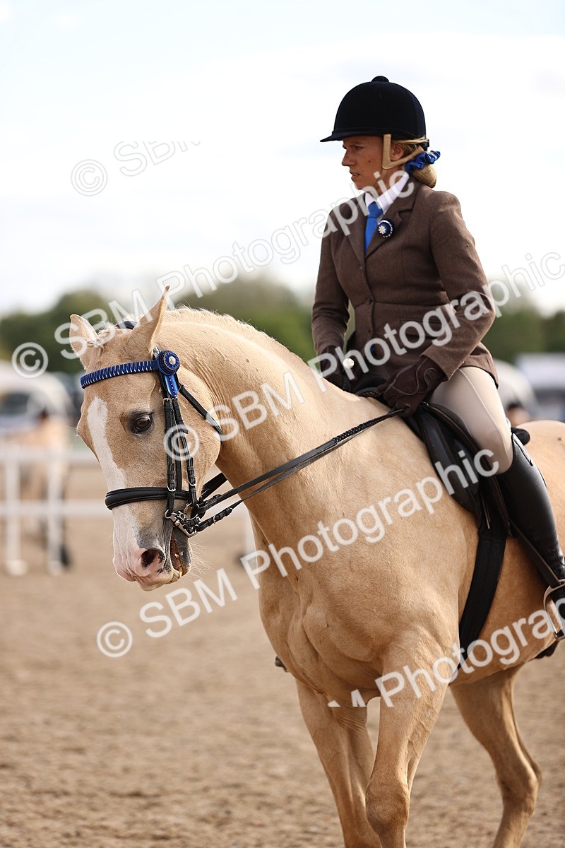 SBM_18216 - Class 423 - Equitation (best rider) Adult