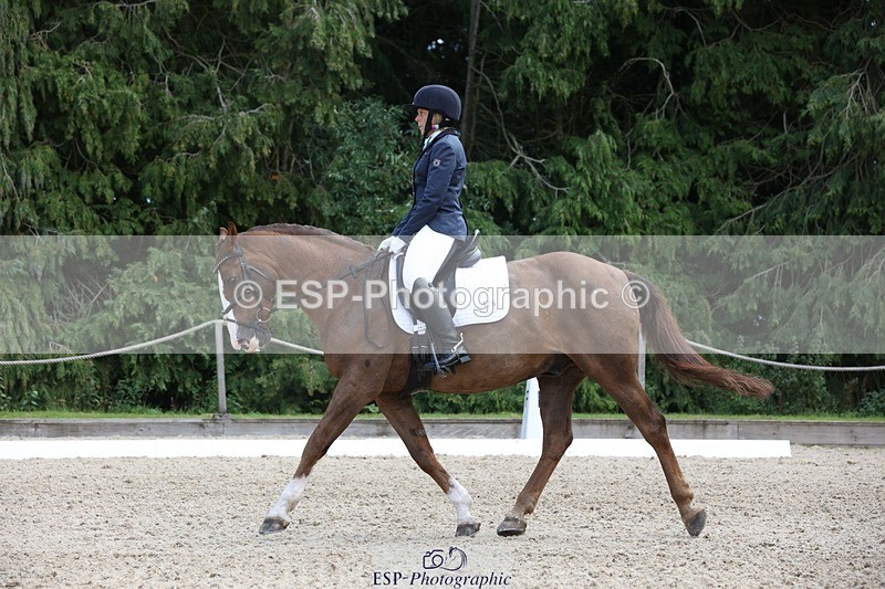 230812-134624-04306 - Cls 5 Novice Bronze 13.40 to 14.45 break