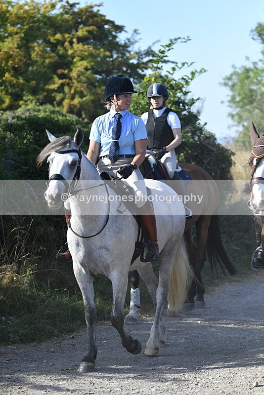 WJ5_4920 - Walk out with the hounds