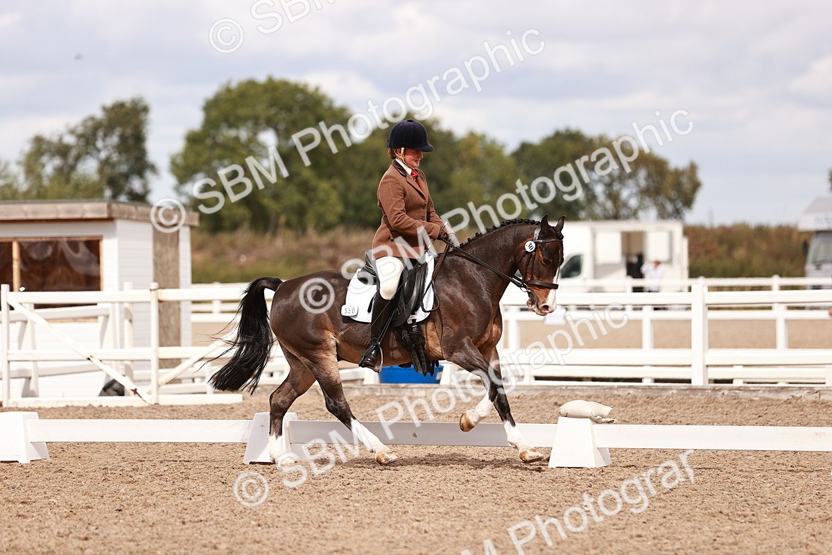 SBM_06236 - Class 37 - Novice 5