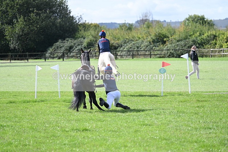 WJ7_8532 - 60cm Pairs