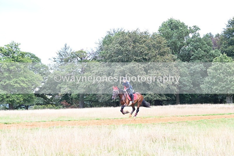 DSC_8906 - Time at Statue 14:33 to 15:10