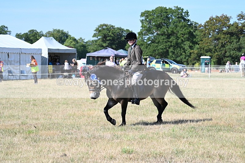 WJ7_3300 - Class 8 Ridden Tack & Turnout