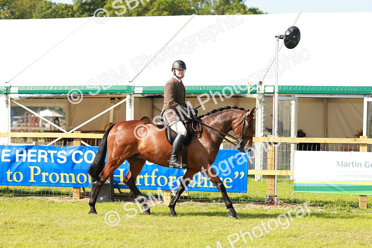 SBM_12010 - Class 66-69 - RIHS Ridden Hunters Inc Small Hunter