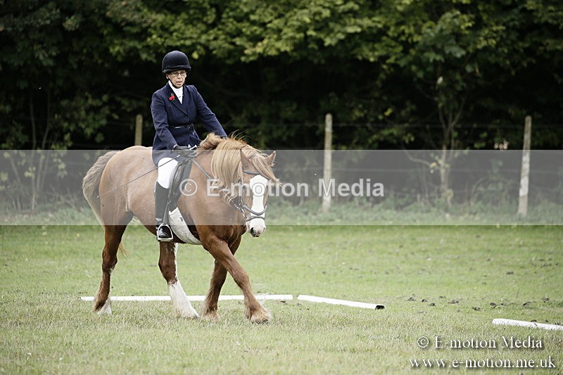 BVR080918 50 - BVRC Novice Dressage & CR 08/09/18