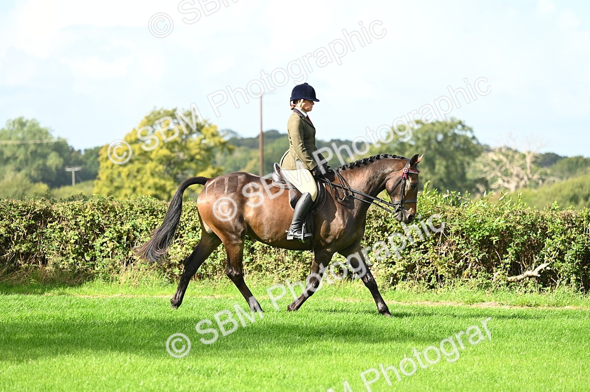 SBM_01740 - S2 - TSR Ridden Horse Showing
