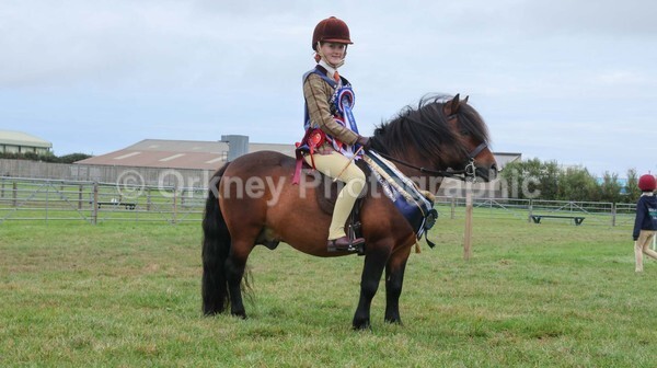 untitled-7294 - Shetland Pony Show