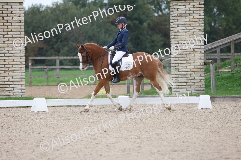 20251011-0407 - Class 4 - Novice 2