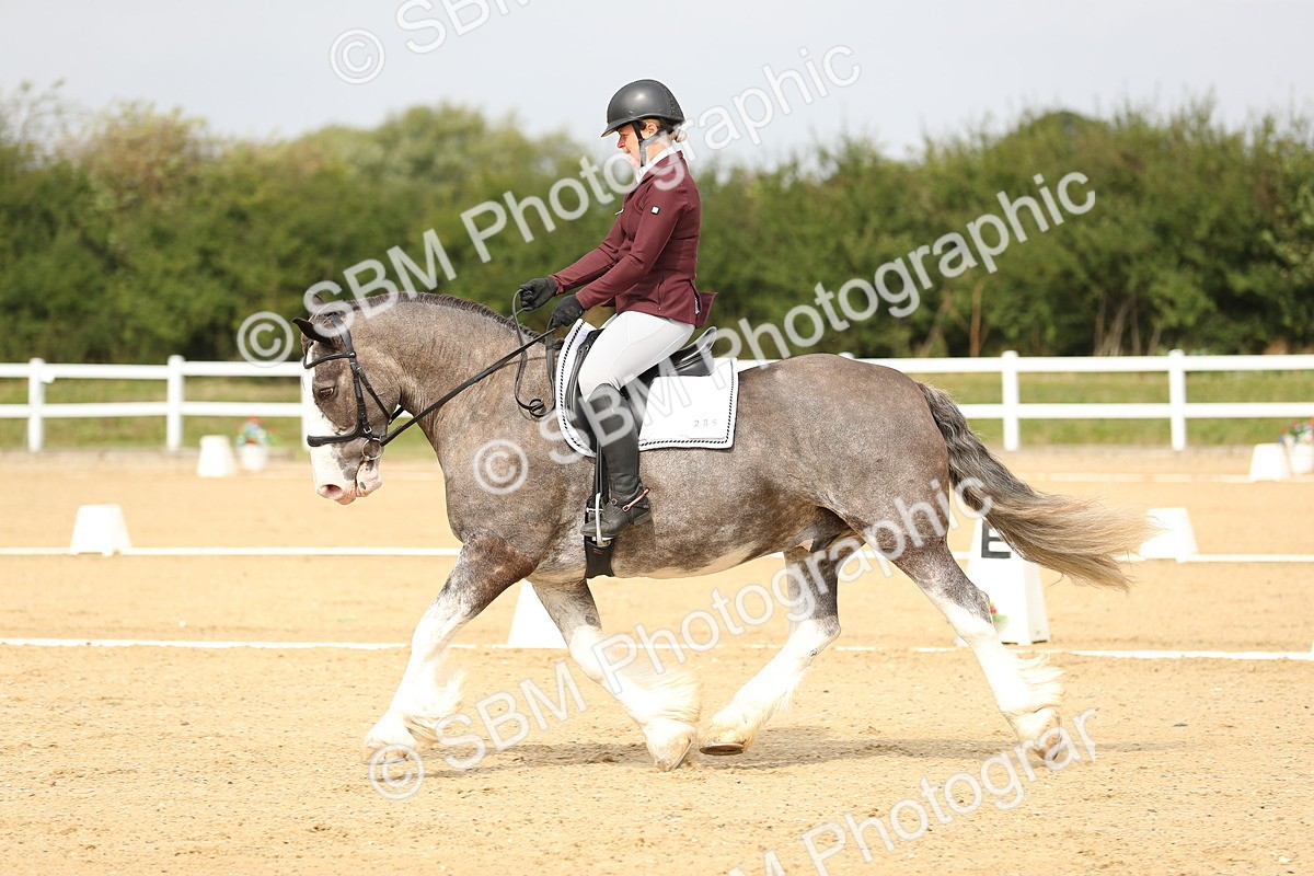 SBM_017305 - Class 13 - Novice 23 - 13.31-14.13