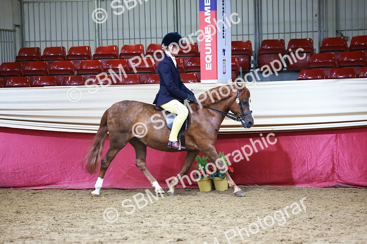 SBM_23218 - Class 904 - Supreme Final - Ridden Diamond