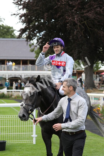yr23072022r6-42 - Race 6 5.00pm Sky Bet Partnership with Support Dogs Stakes
