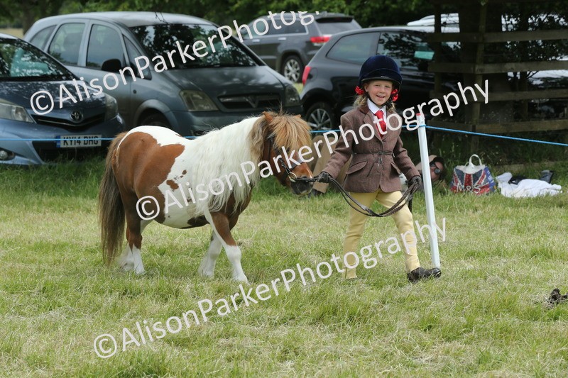 20260614-4263 - Class 18 - Best Junior Handler