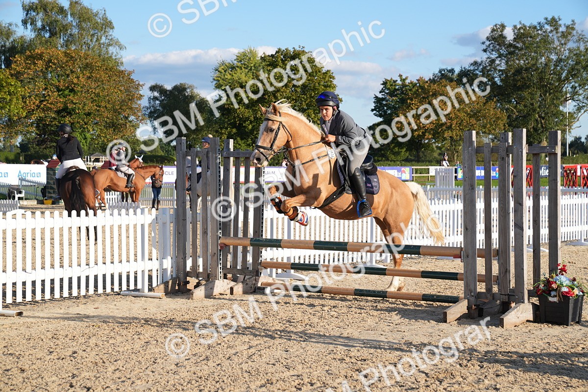 SBM_30006 - J44 - Super Speedy Scurry Open - 70cm