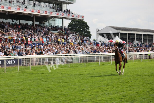 yr20082021r2-67 - Race 2 2.25pm Weatherbys Hamilton Lonsdale Cup (British Champion Series race)
