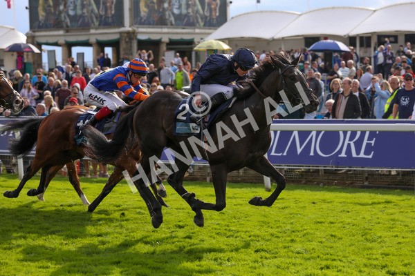 250823-Race 6-Battle Cry-5944 - Race 6 4.45pm British EBF 40th Anniversary Convivial Maiden Stakes