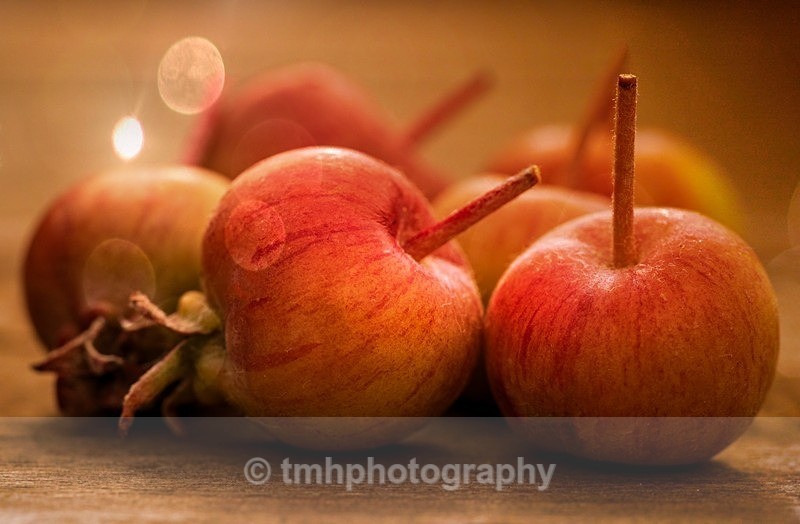 Light on Apples. - Still Life / Contemporay Art