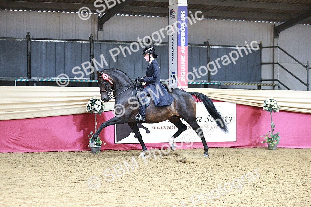 SBM_03722 - Class 6A Area Ridden Pre-Vet