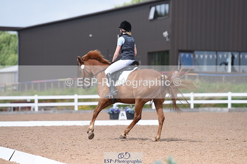 230701A-153810-07441 - Cls 11 Novice 34