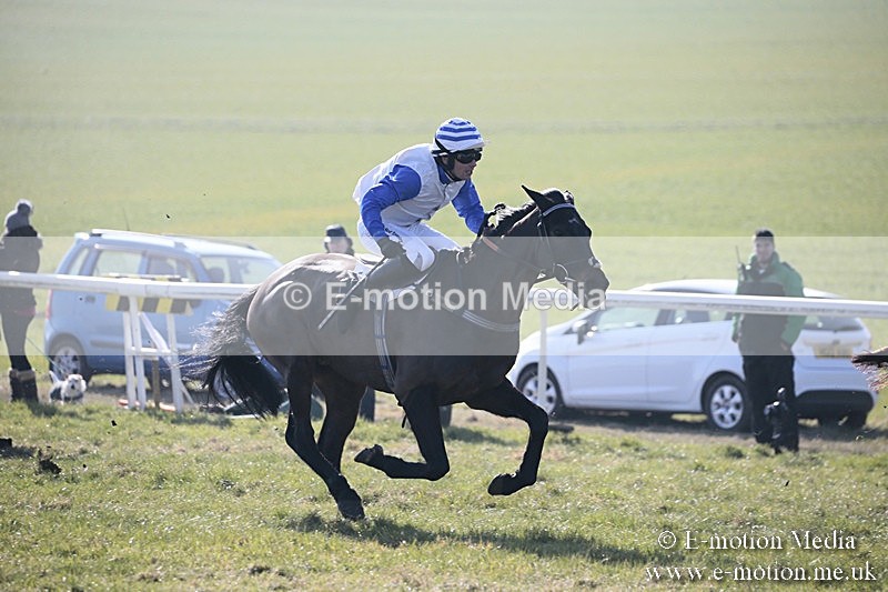 PtP 240218 56 - Vine & Craven Hunt Point-to-Point Barbury racecourse 24/02/18
