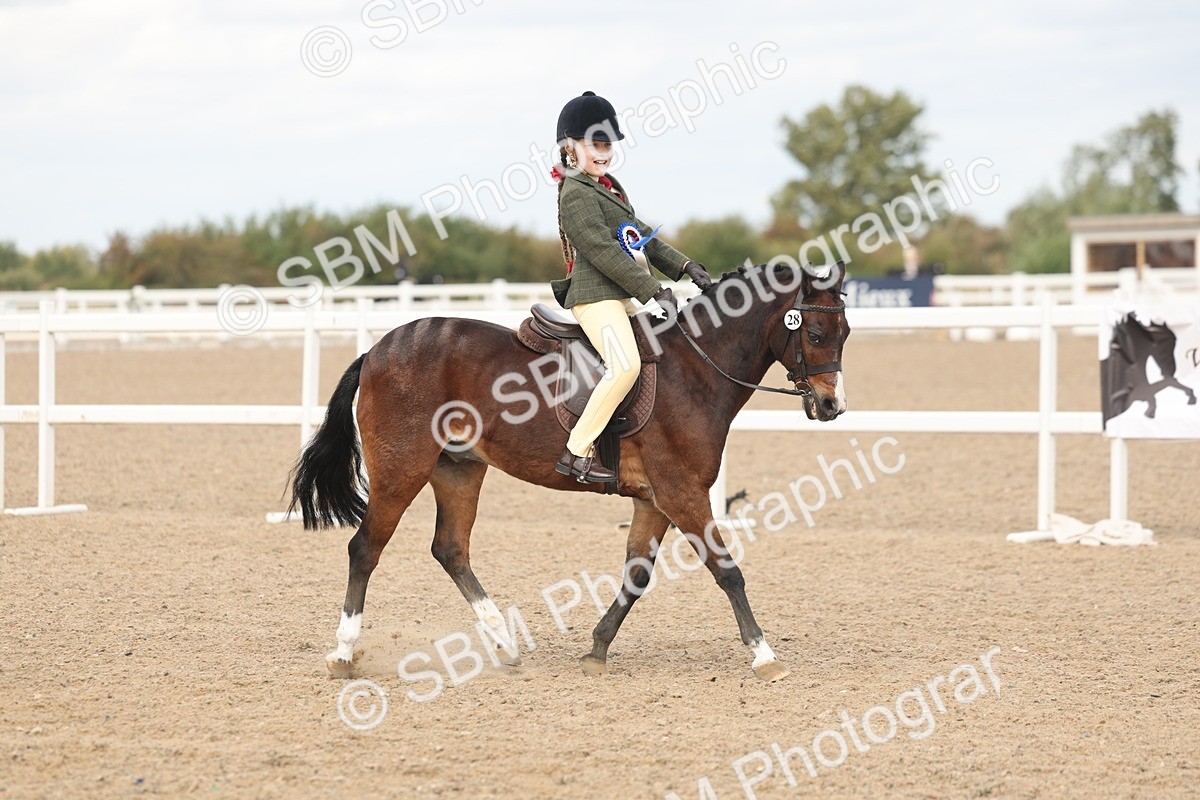 SBM_15946 - Class 310 - First Ridden Pony