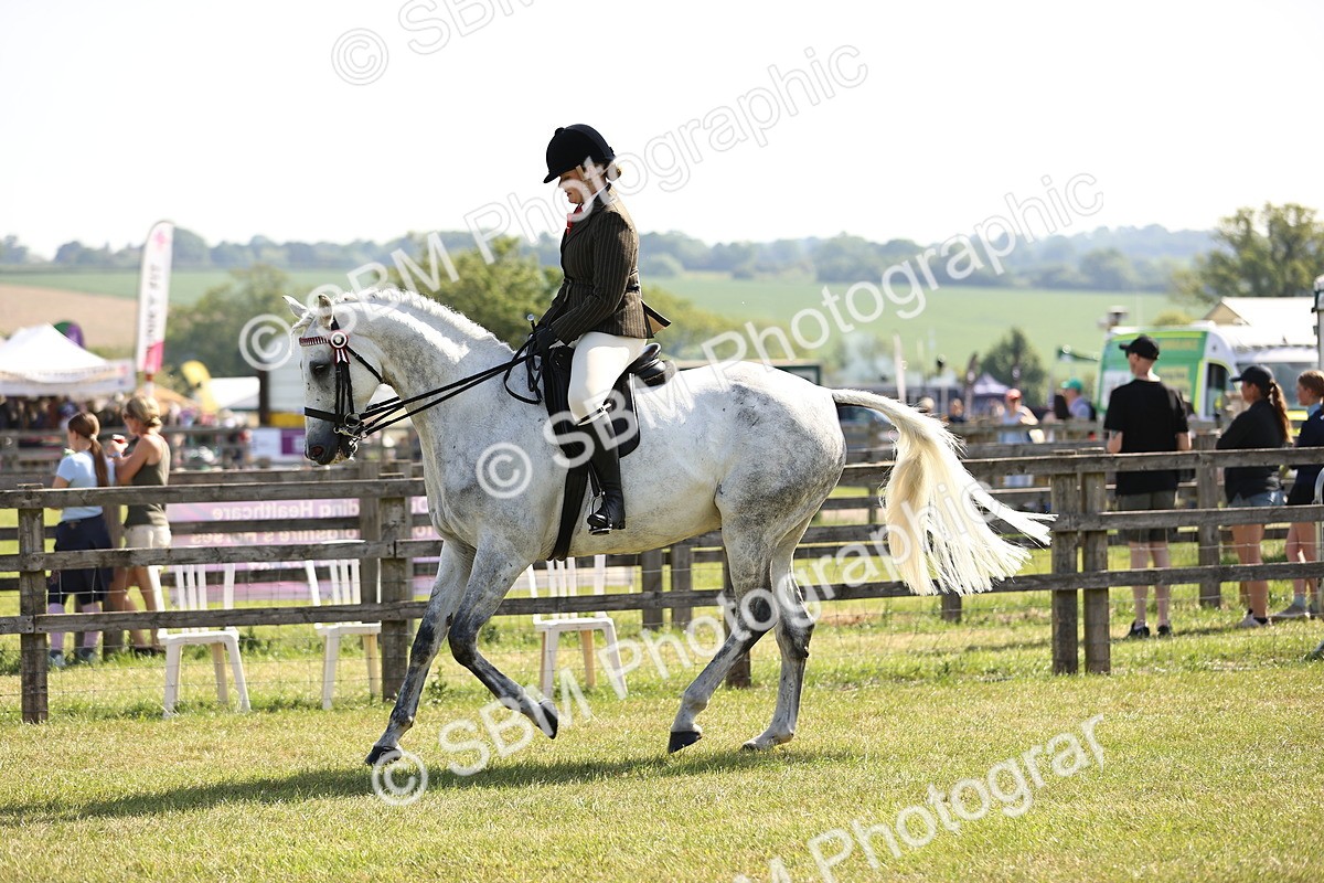 SBM_12901 - Class 75-76 LIHS BSHA Rising Star Hack Riding Horse