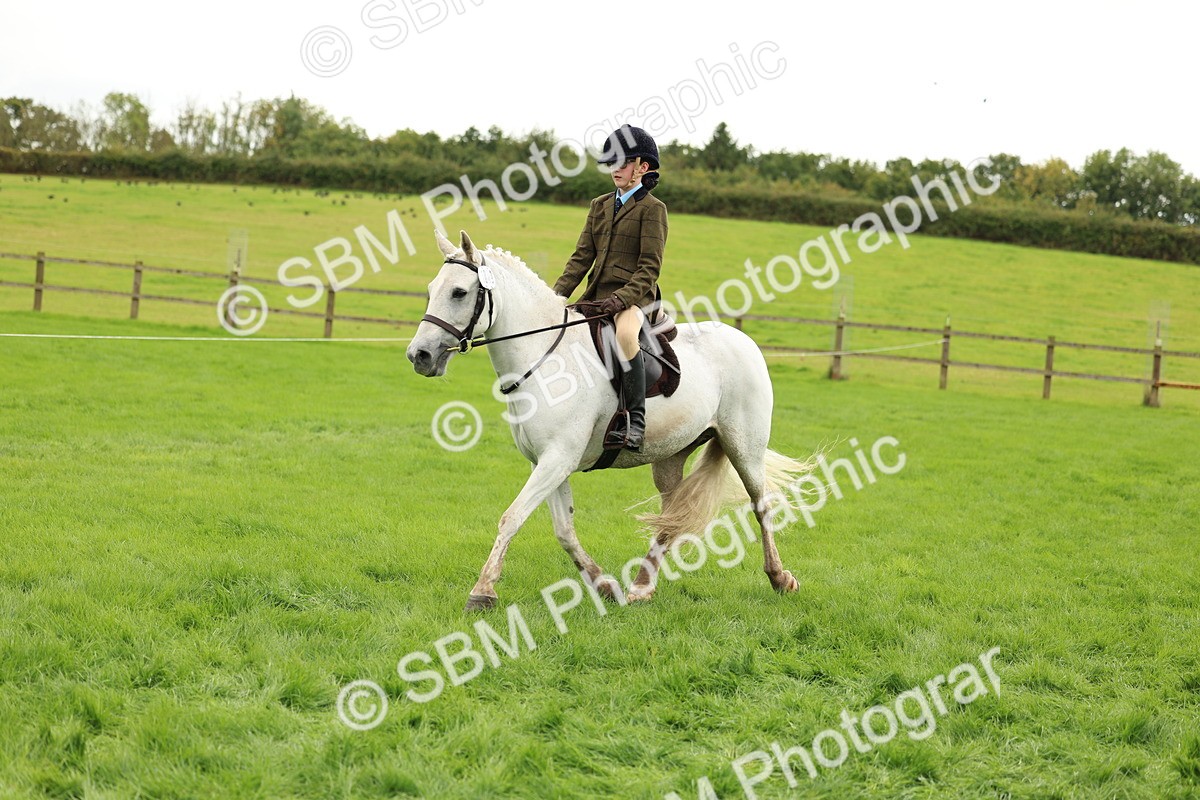 SBM_45356 - S33 - Working Hunter Pony