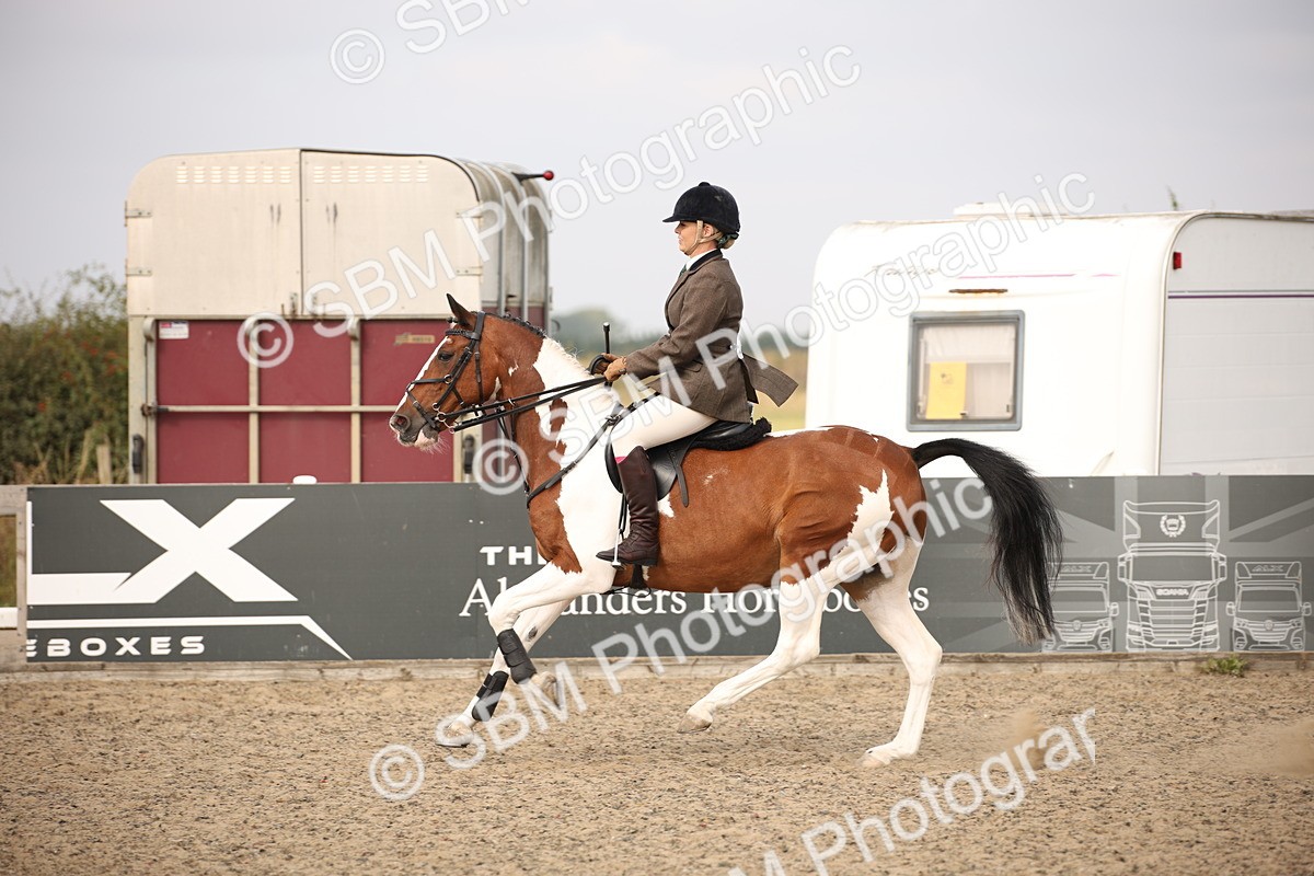 SBM_17124 - Class 409b - Working Veteran 80cm (20+)