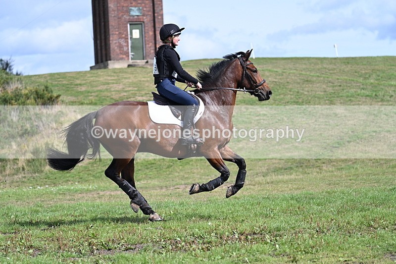 WJ7_1913 - Time 13:17 to 13:53