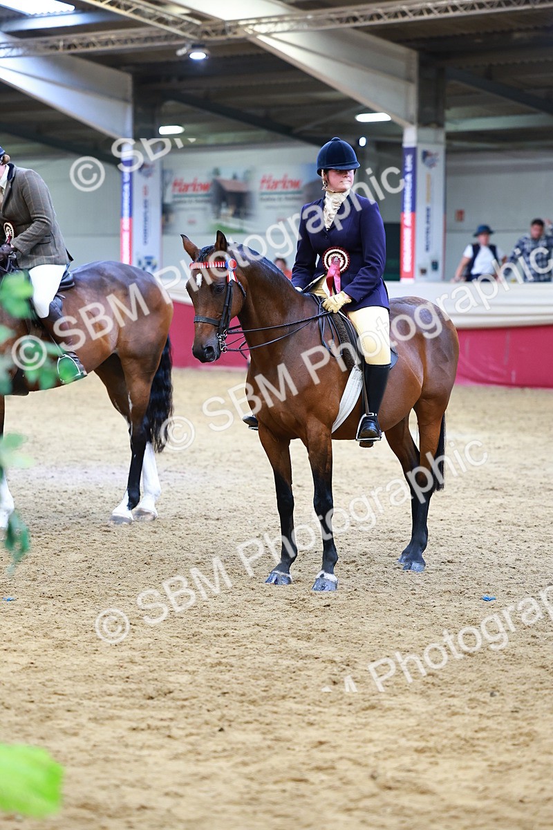 SBM_23201 - Class 905 - Supreme Final - Ridden Veteran