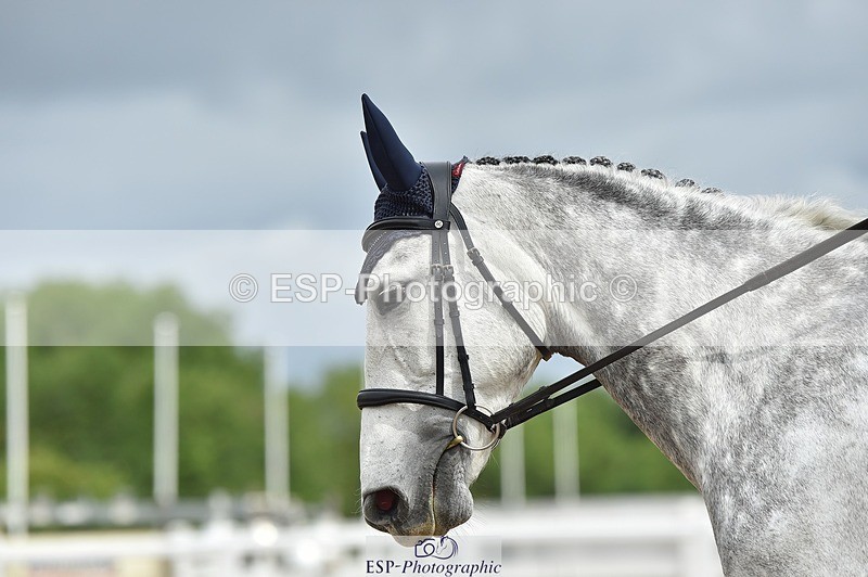 250622-110754-14249 - Quest Cls 25-30 Prelim Tests