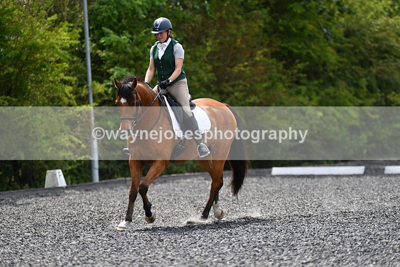 WJ5_0201 - Time 11:47 to 12:21