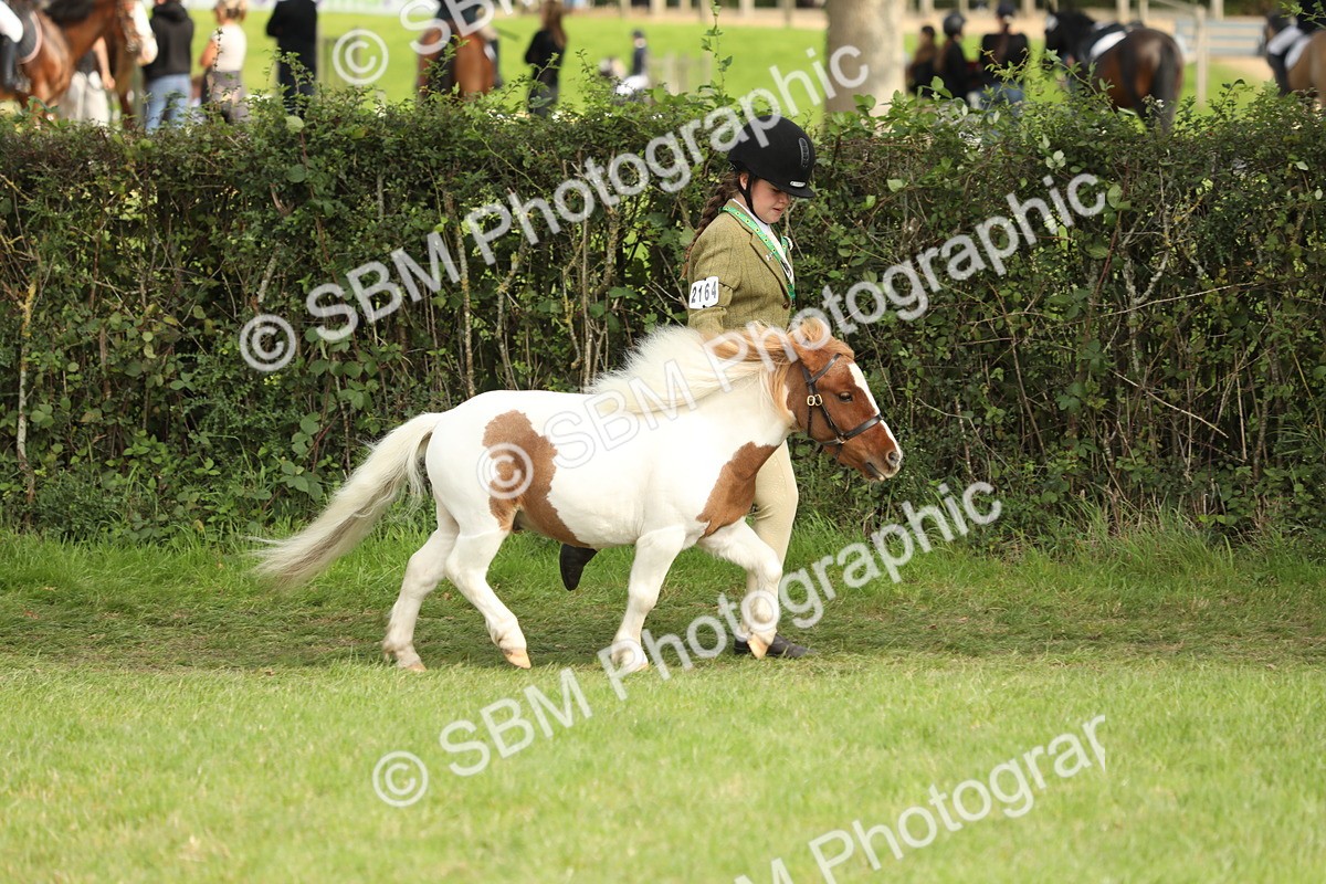 SBM_68523 - S40 - Junior Handler 9-12 Years