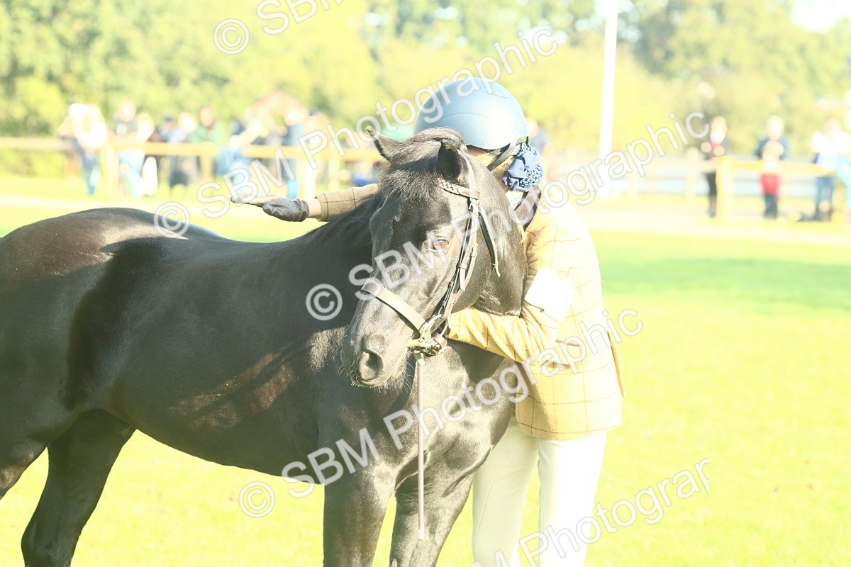 SBM_58447 - S37 - Starters In Hand Showing