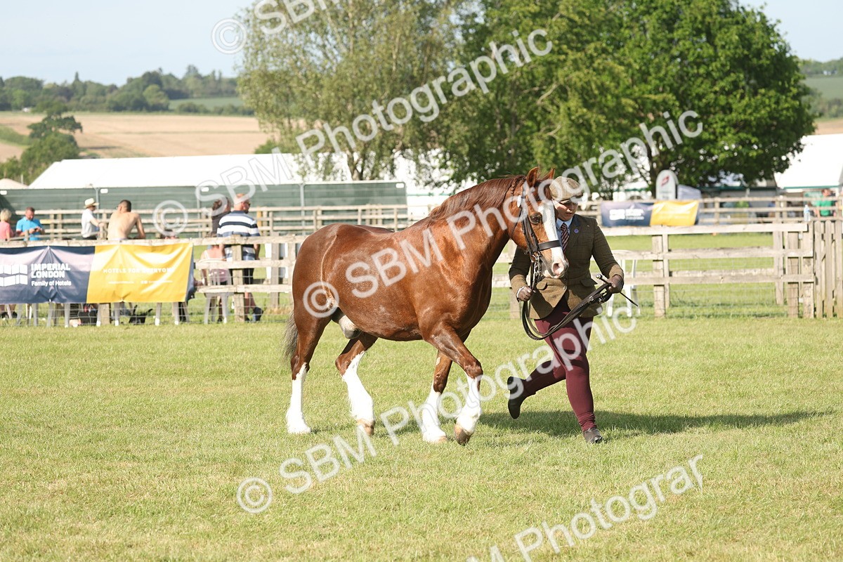 SBM_10352 - Class 33-38 - SSADL RIHS Qualifiers