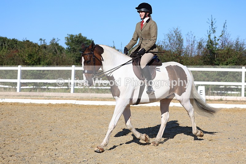 3E7A5282 - Class 8: Small Ridden Hunter
