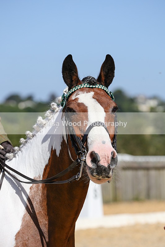 1X9A8274 - Class 12: Coloured Ridden