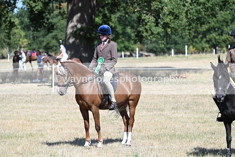 WJ7_4179 - Class 9 Mountain & Moorland Ridden