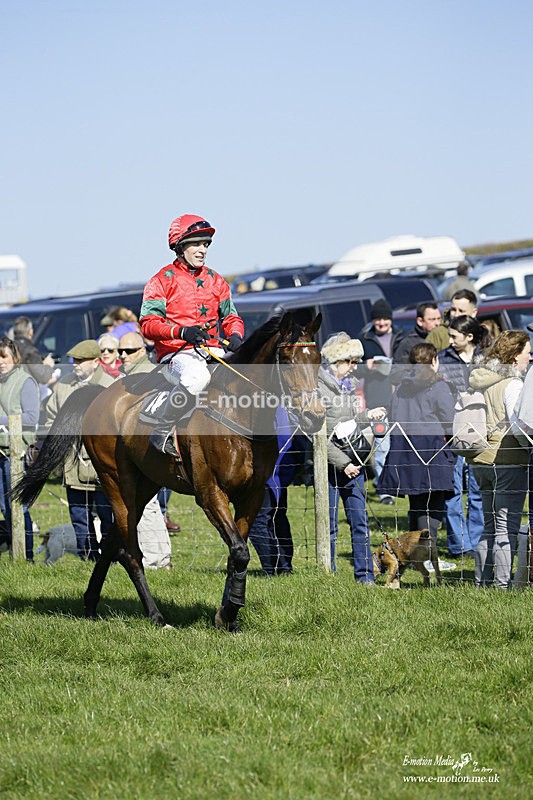 PtP 190322 320 - Wilton Hunt PtP Milborne St Andrew 19/03/22